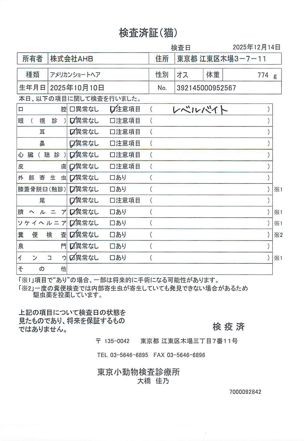アメリカンショートヘア