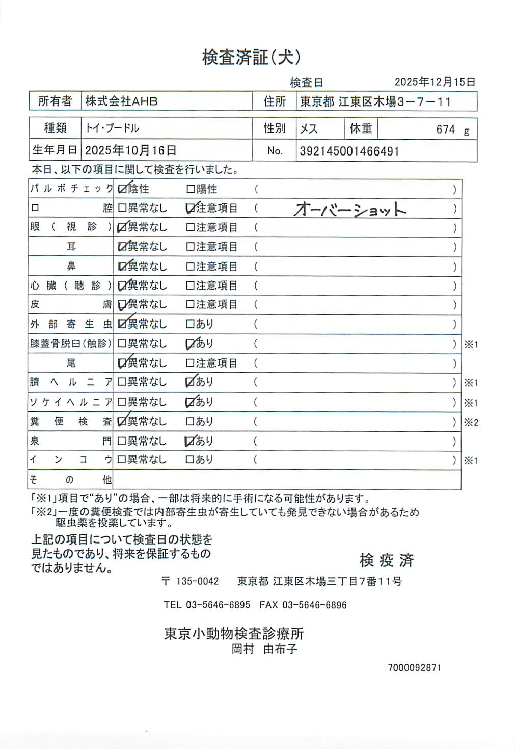 トイ・プードル