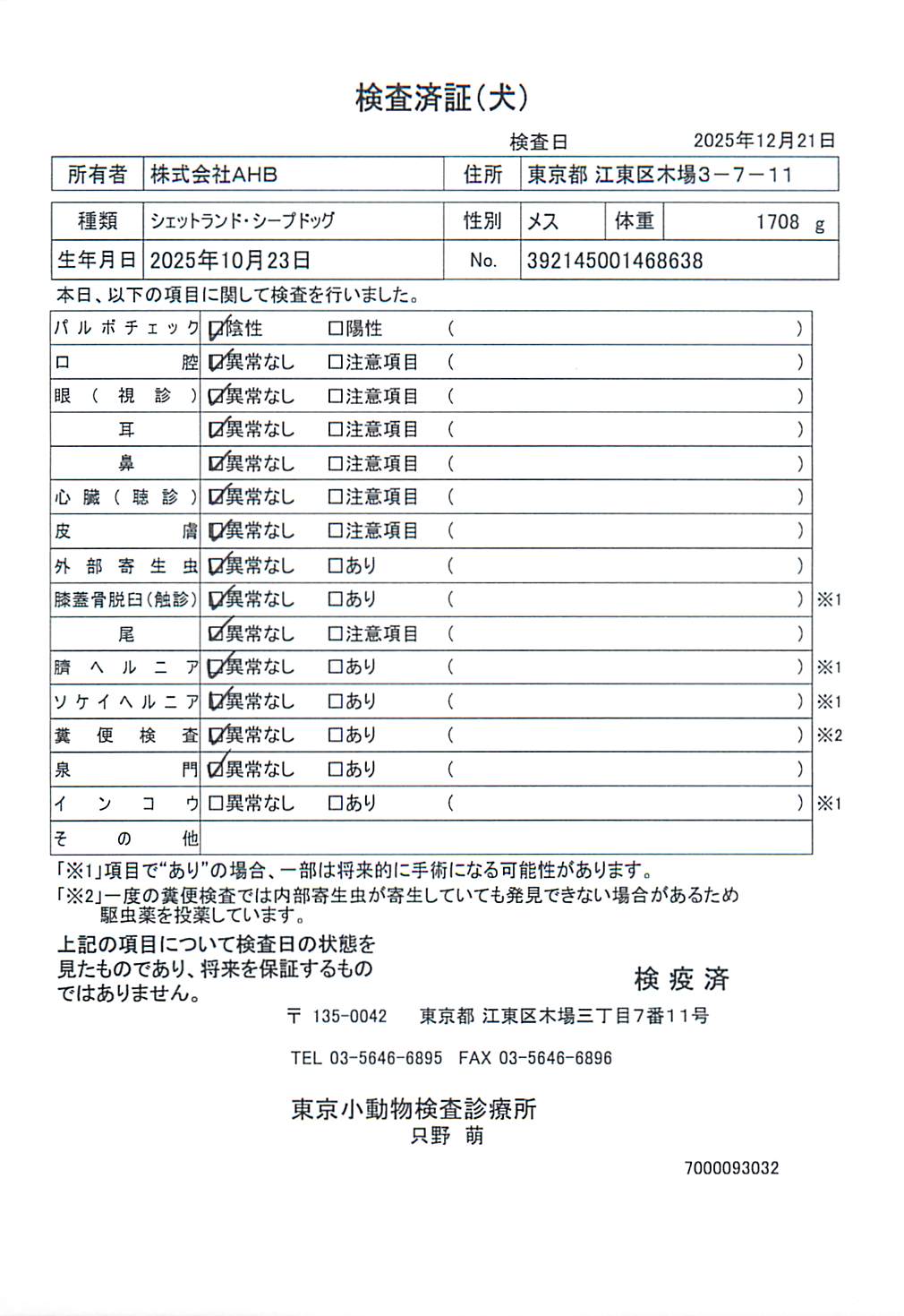シェットランド・シープドッグ