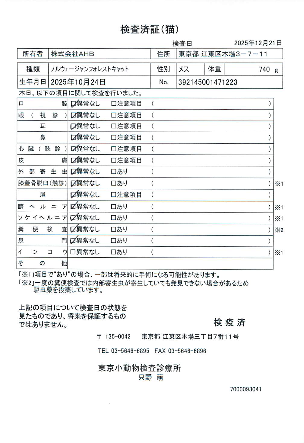 ノルウェージャンフォレストキャット