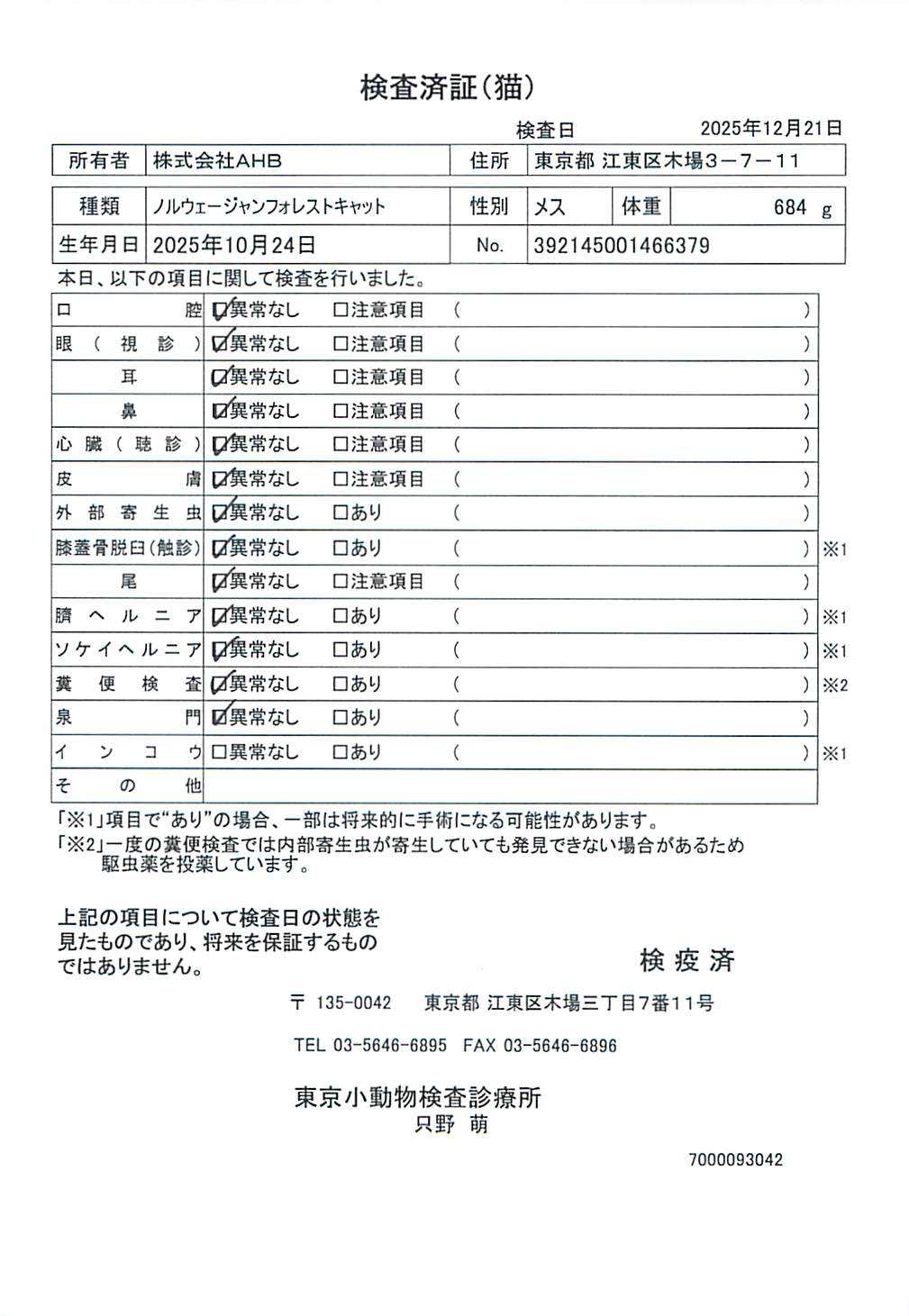 ノルウェージャンフォレストキャット