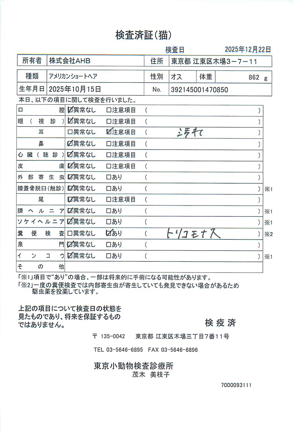 アメリカンショートヘア