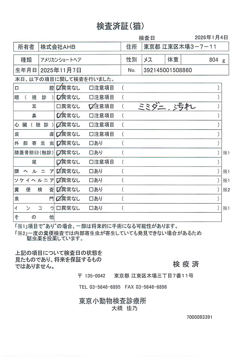 アメリカンショートヘア