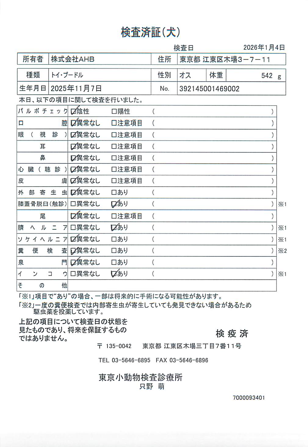 トイ・プードル
