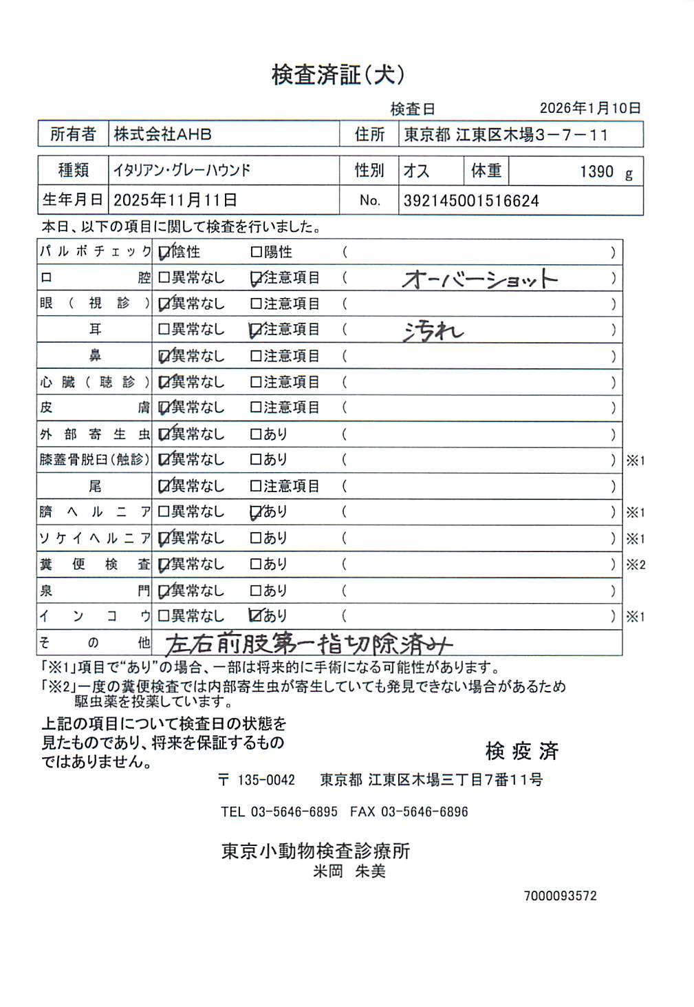 イタリアン・グレーハウンド
