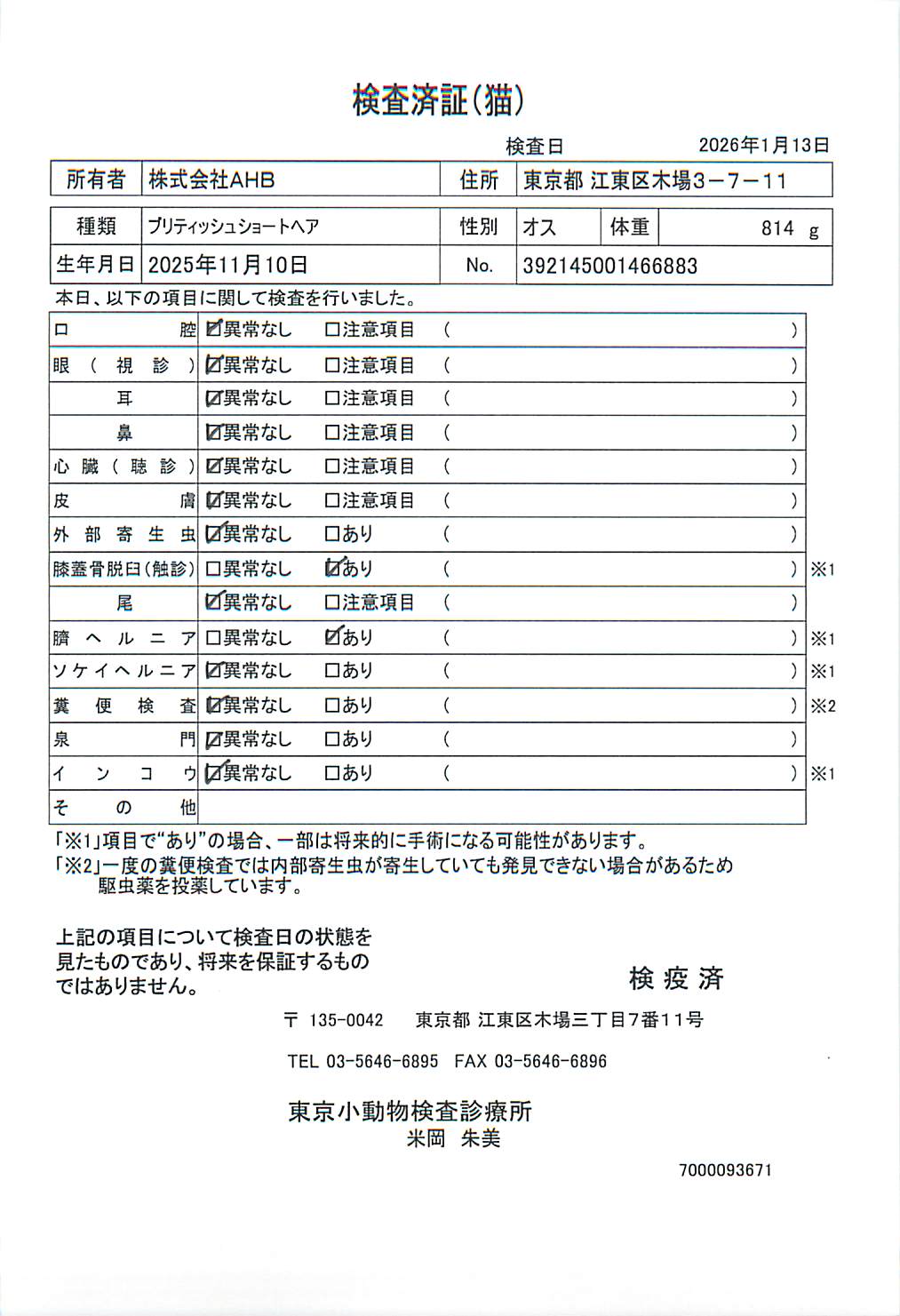 ブリティッシュショートヘア