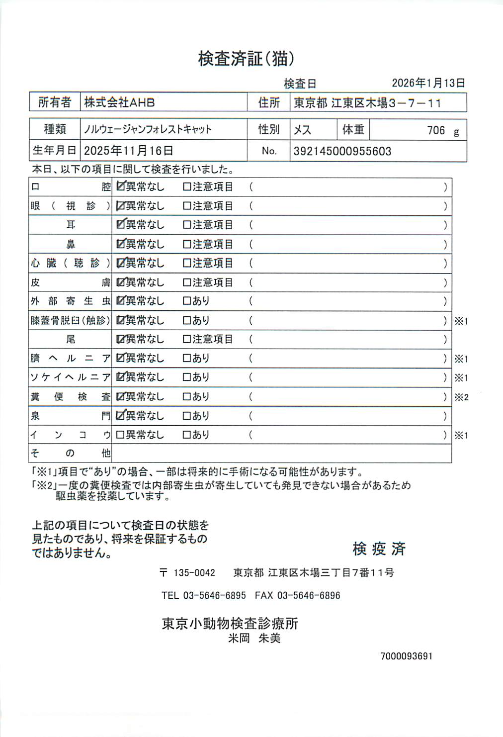 ノルウェージャンフォレストキャット
