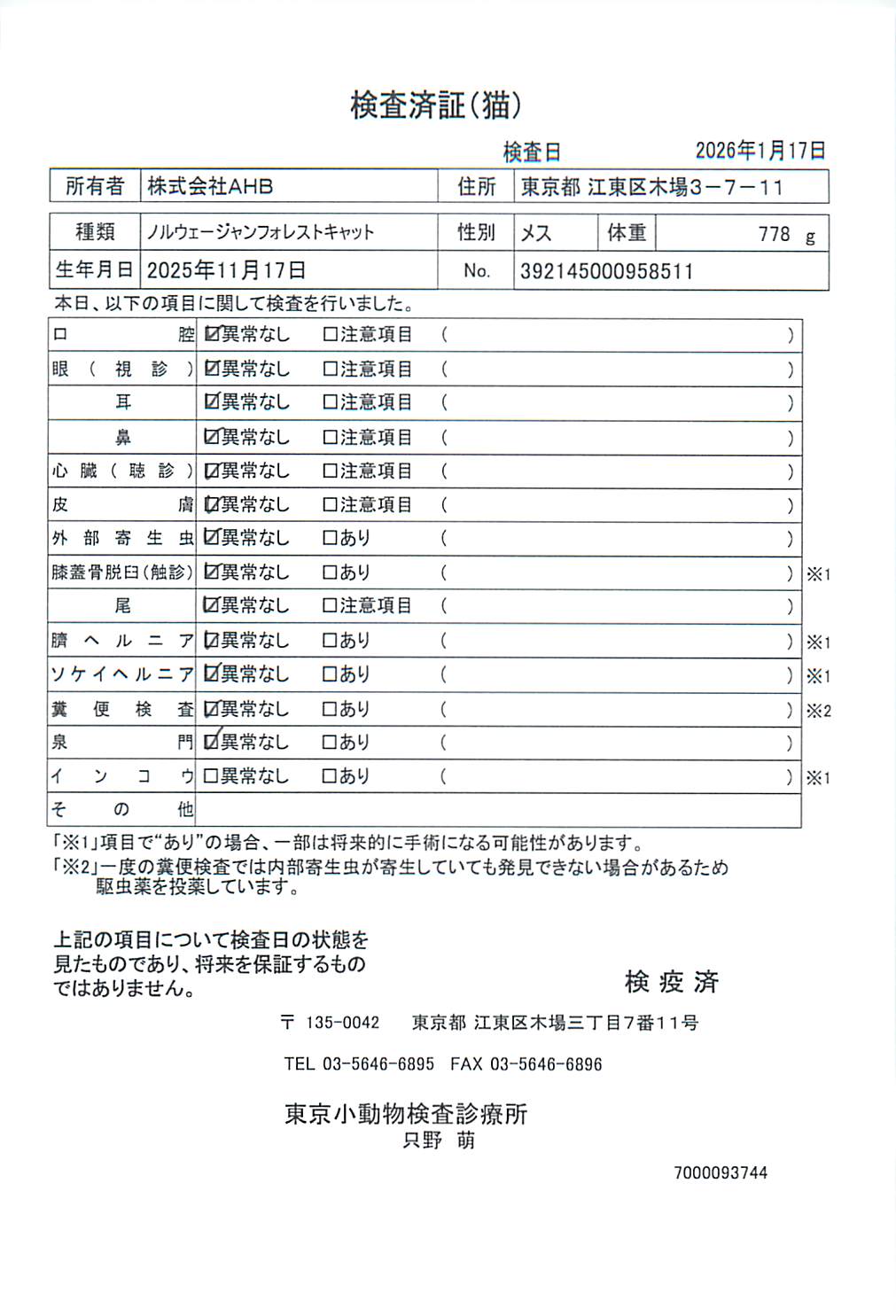 ノルウェージャンフォレストキャット