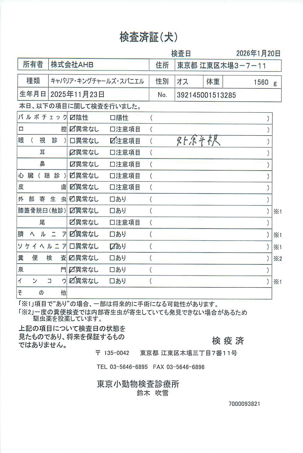 キャバリア・キングチャールズ・スパニエル