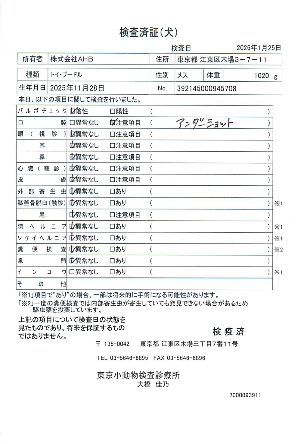 トイ・プードル