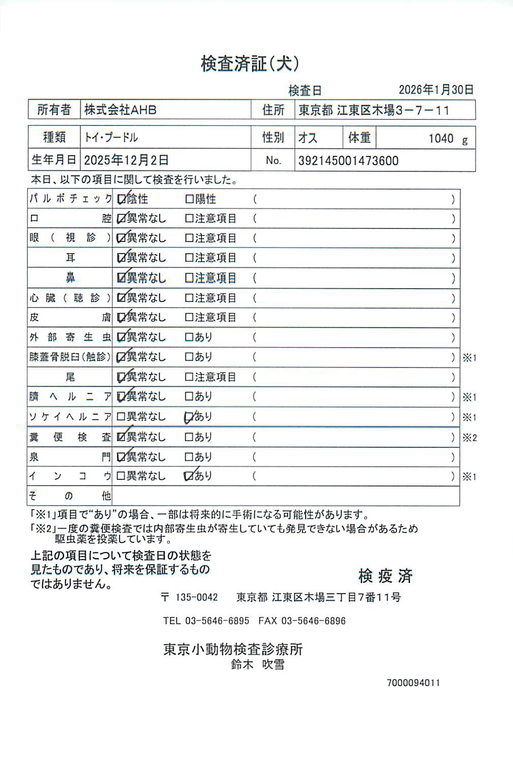 トイ・プードル