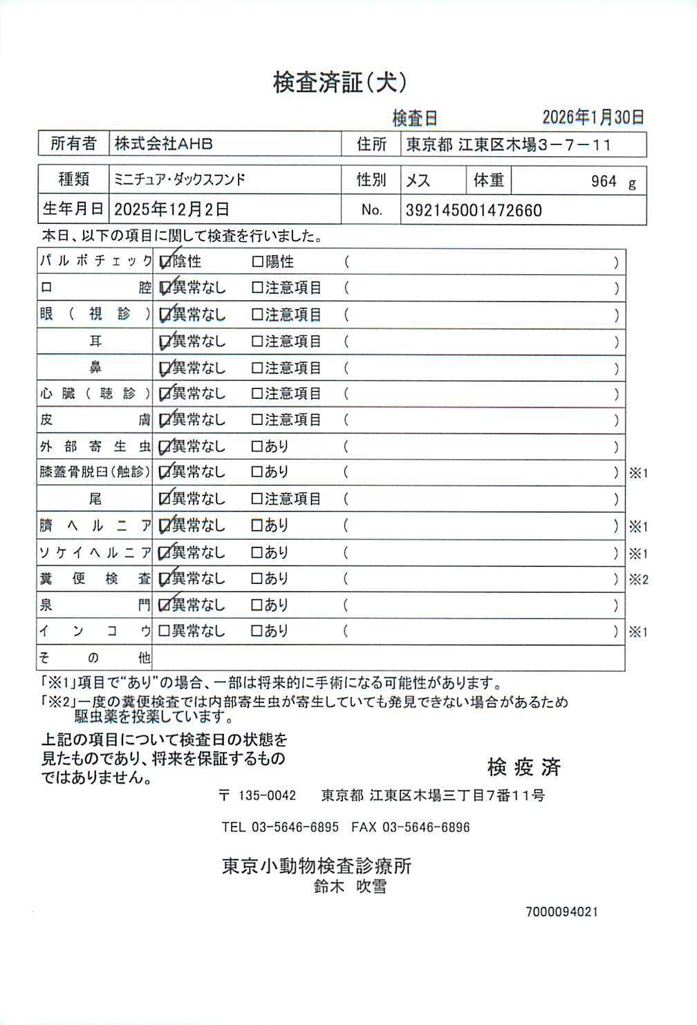ミニチュア・ダックスフンド