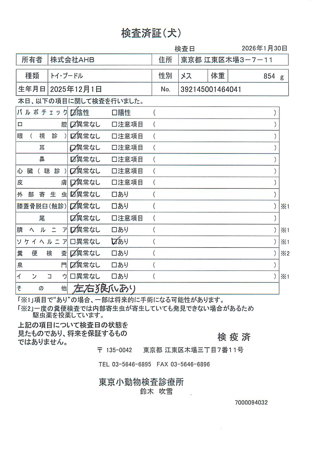 トイ・プードル