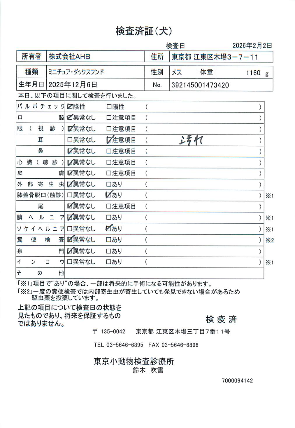 ミニチュア・ダックスフンド