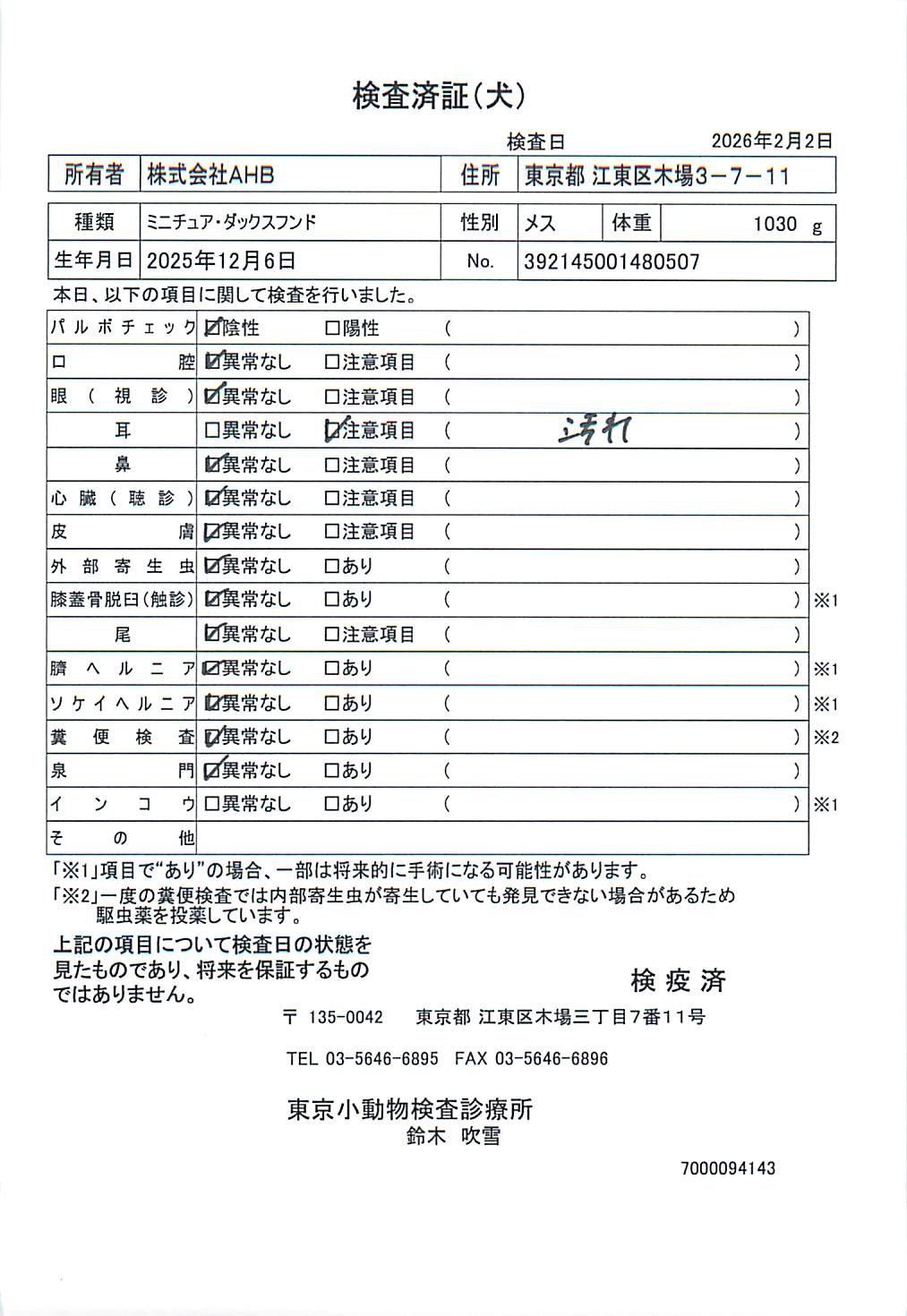 ミニチュア・ダックスフンド