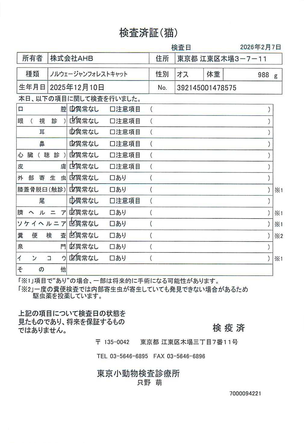ノルウェージャンフォレストキャット