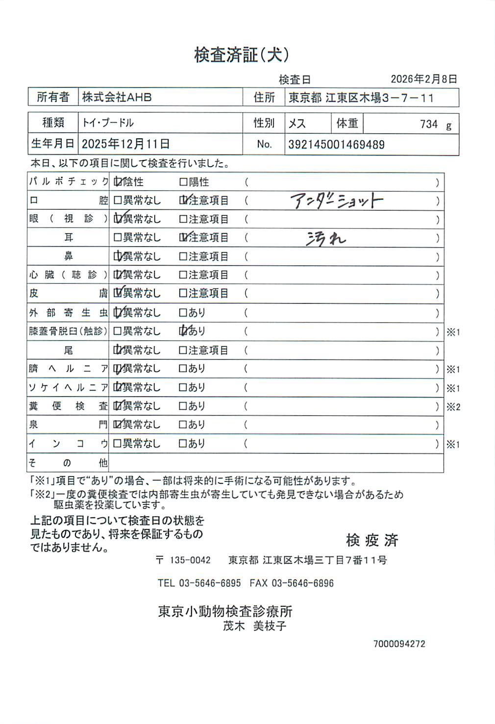 トイ・プードル