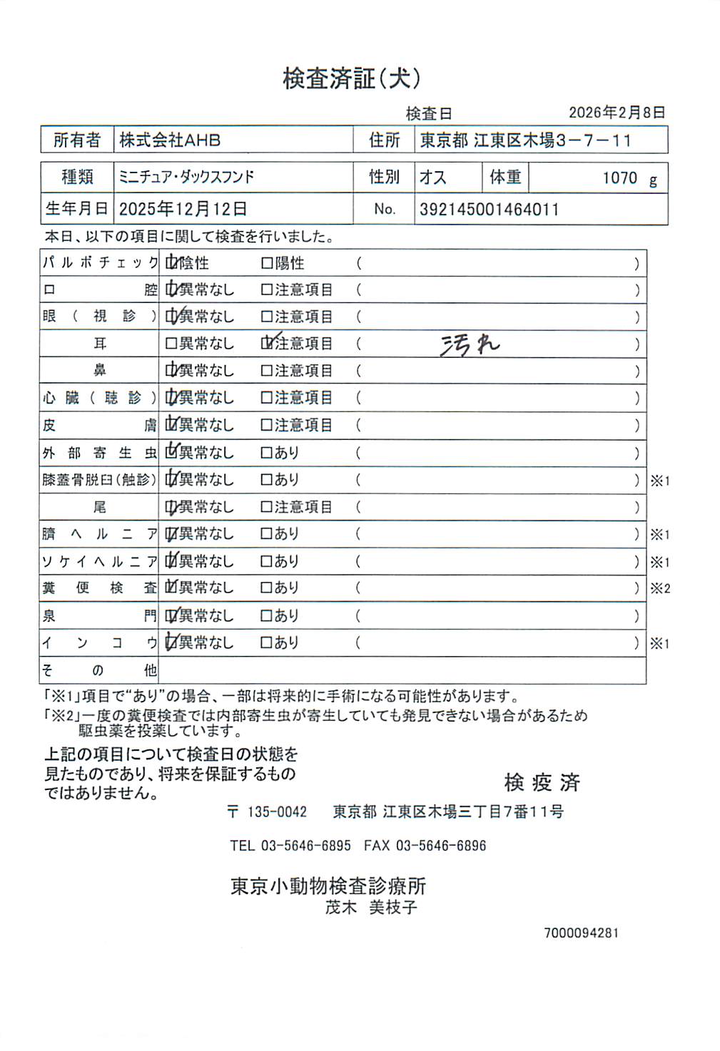 ミニチュア・ダックスフンド