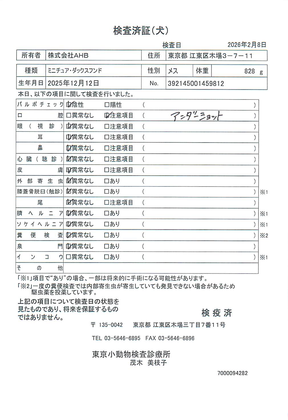 ミニチュア・ダックスフンド