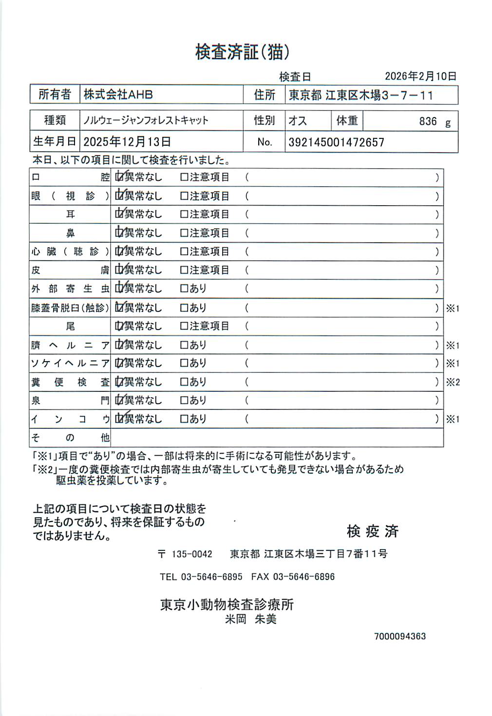 ノルウェージャンフォレストキャット