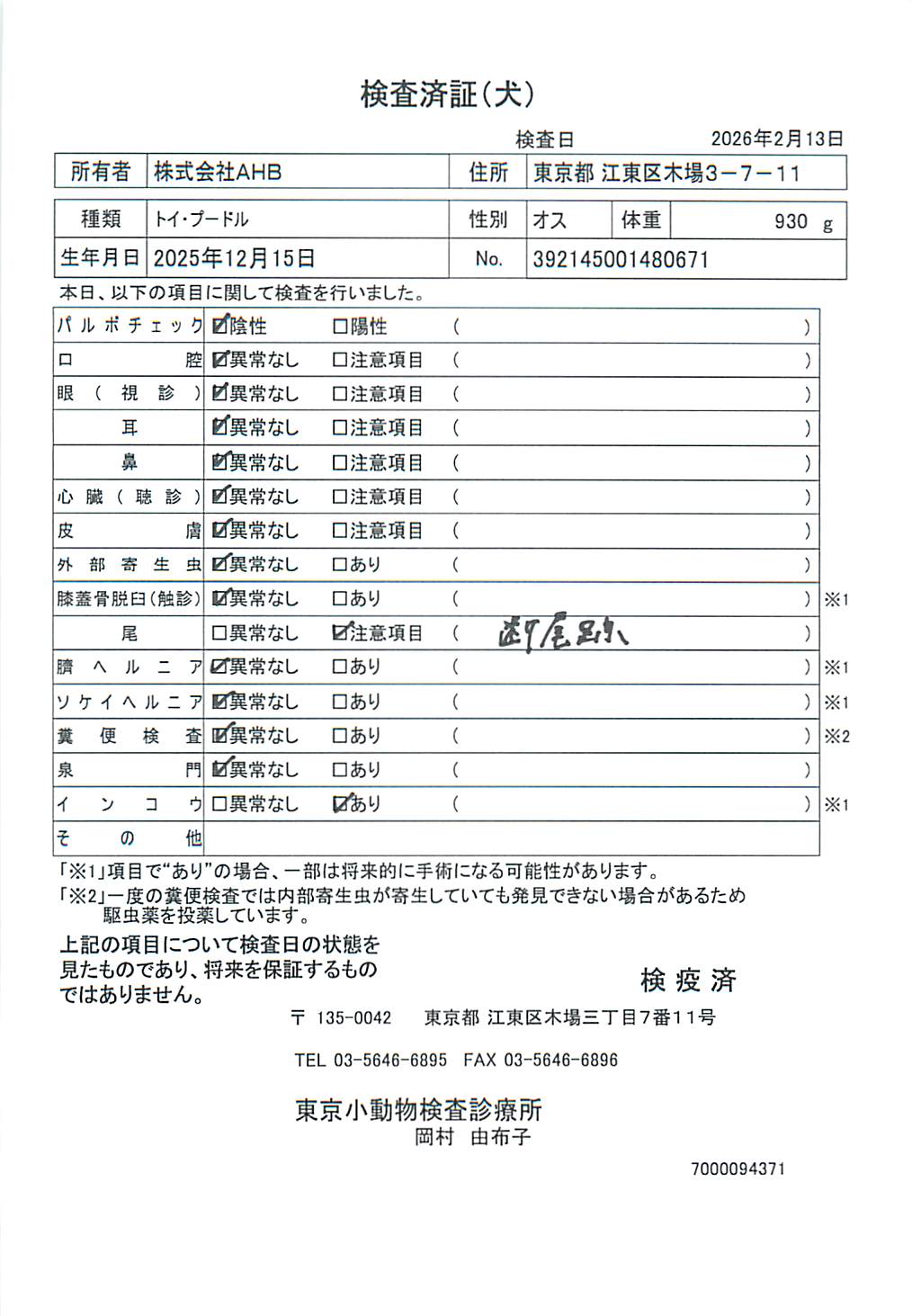 トイ・プードル
