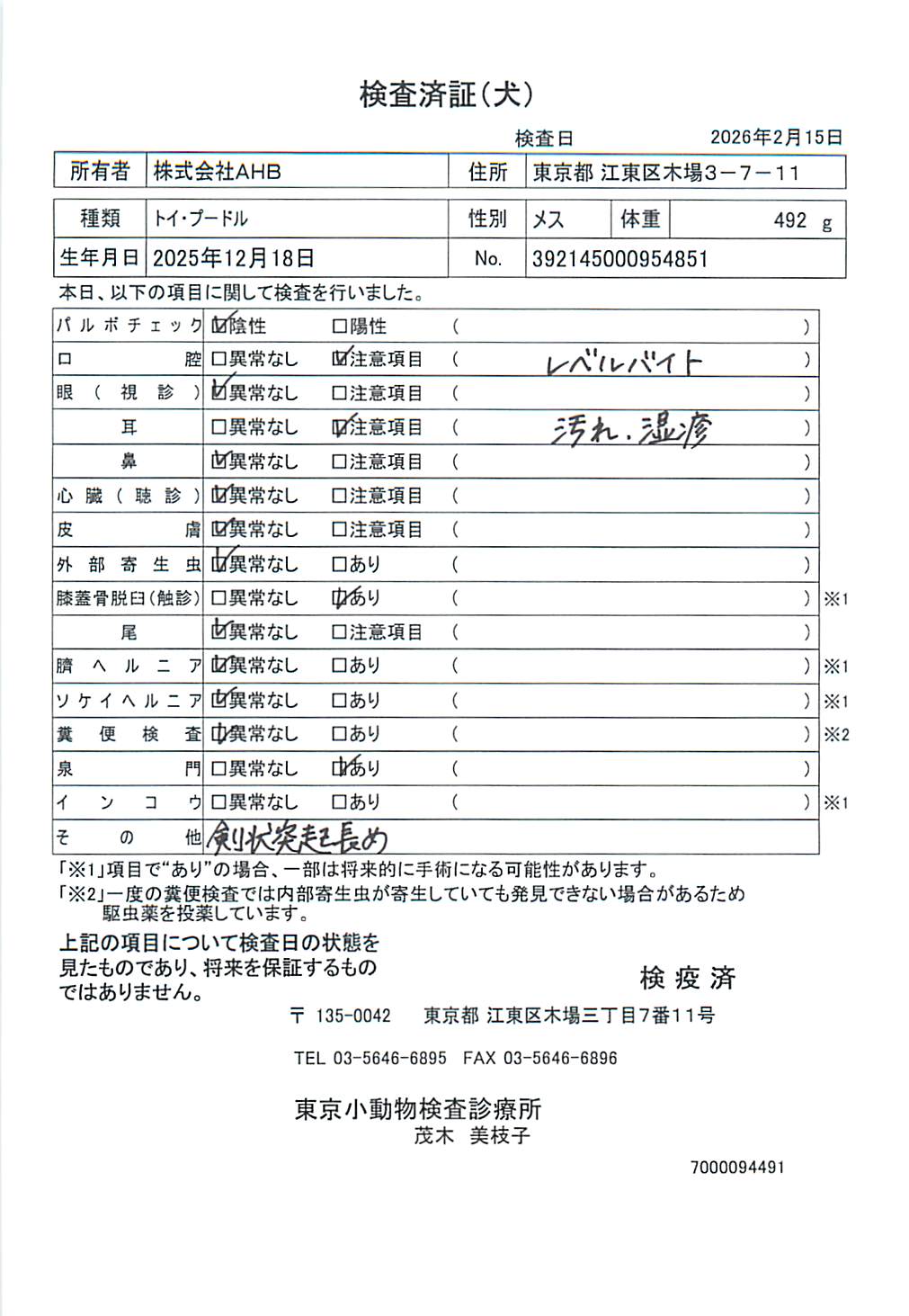 トイ・プードル