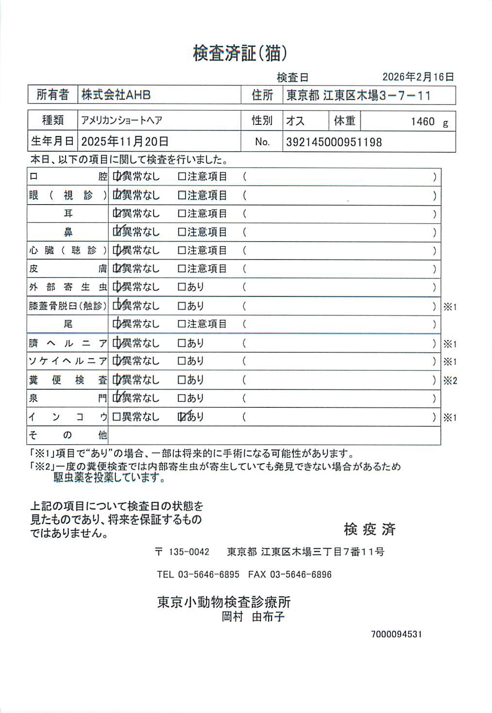 アメリカンショートヘア