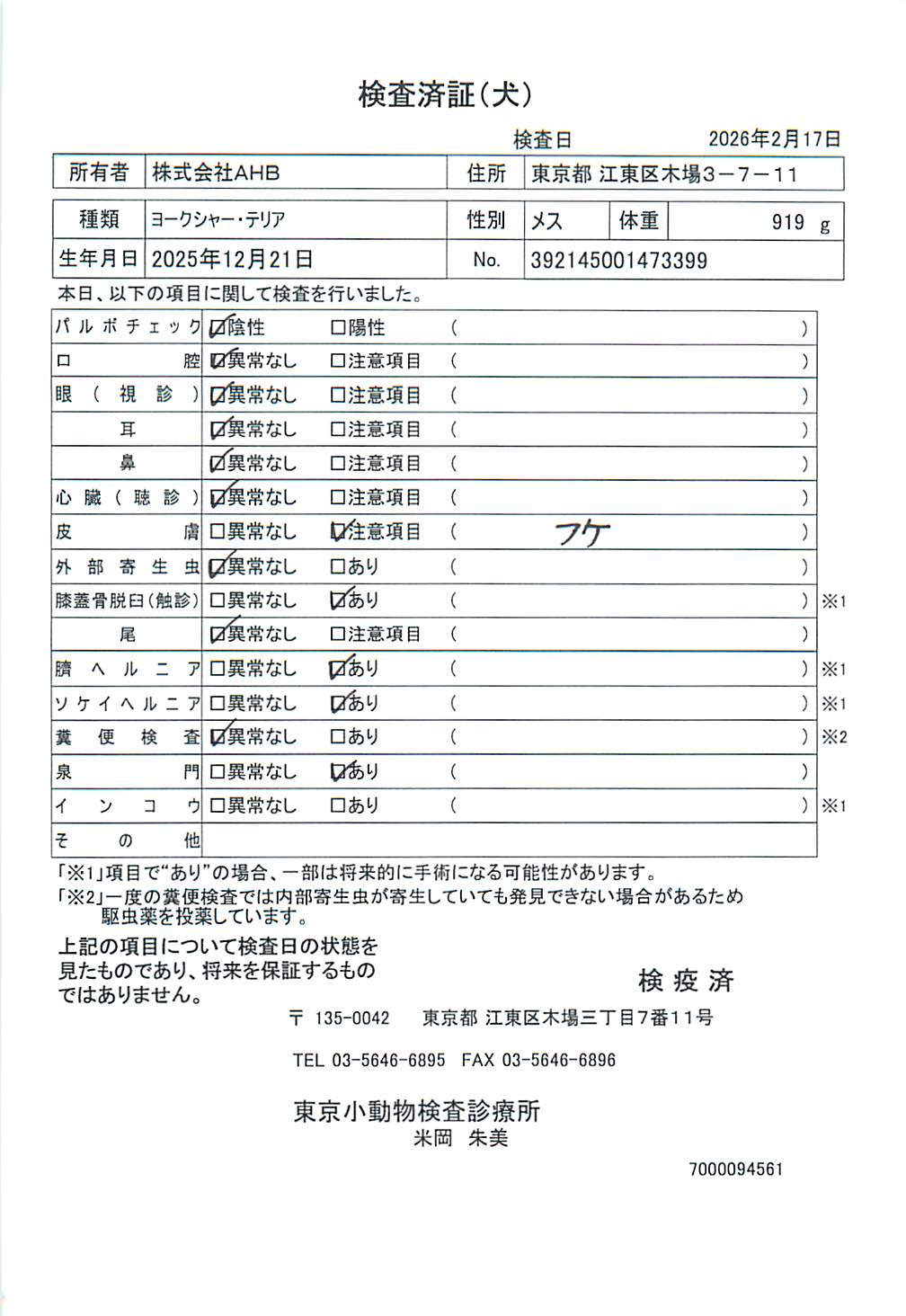 ヨークシャー・テリア