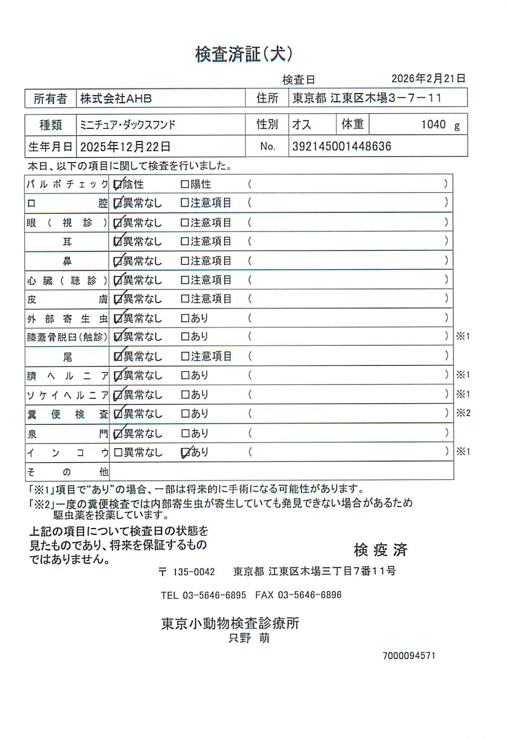 ミニチュア・ダックスフンド