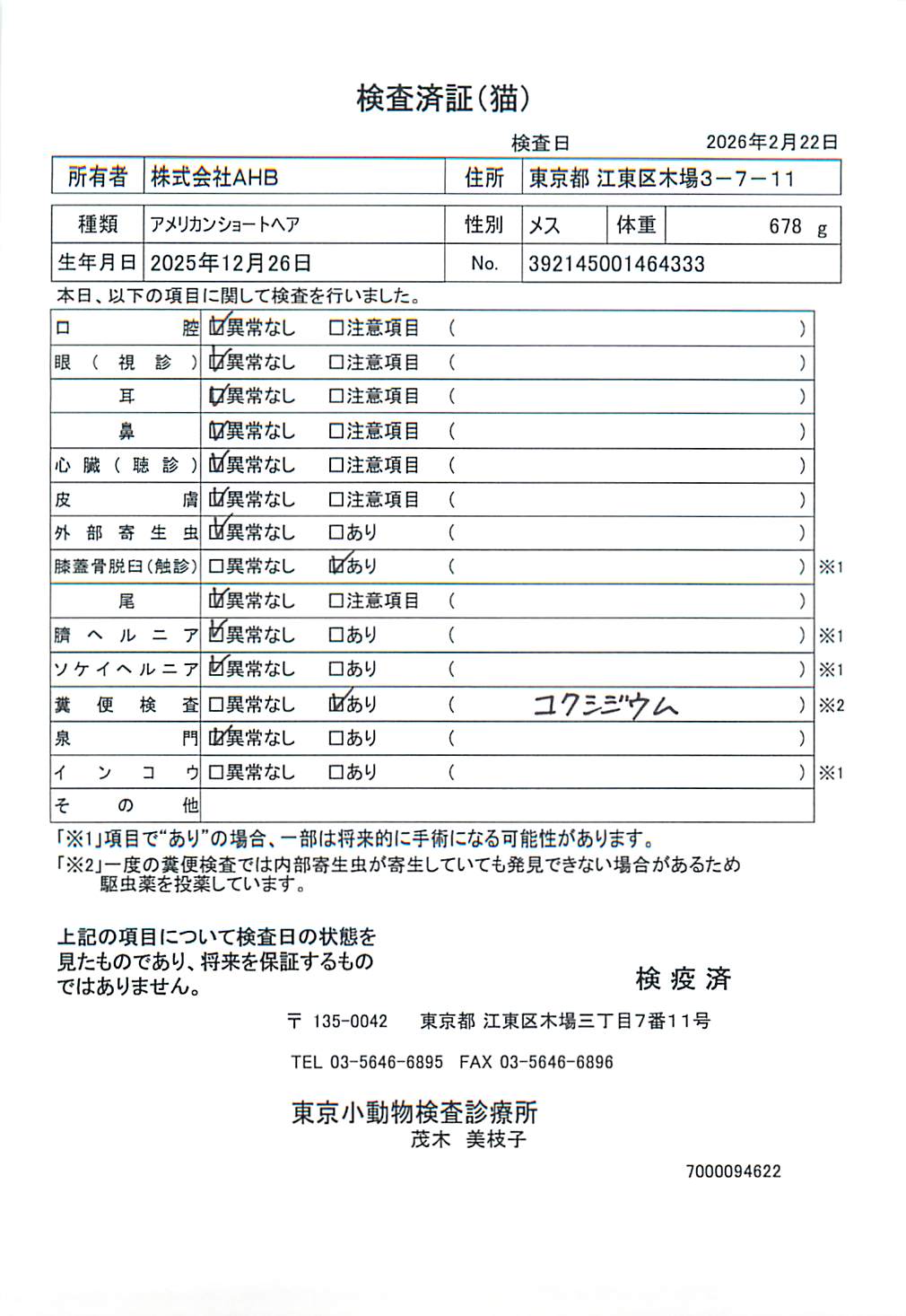 アメリカンショートヘア