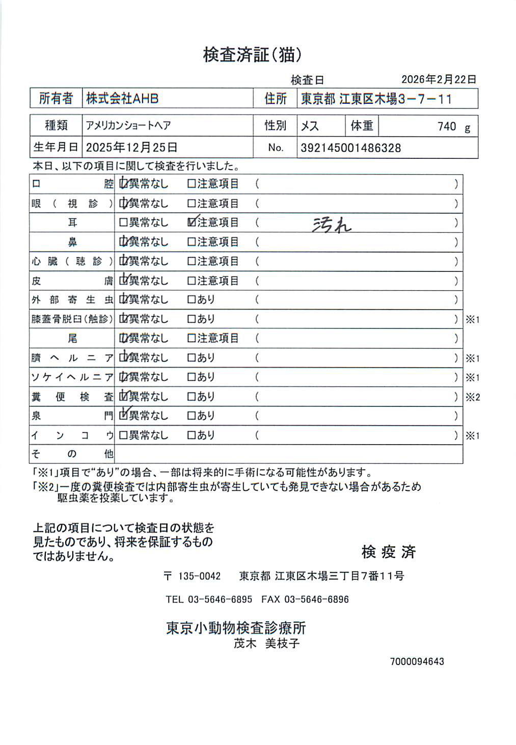 アメリカンショートヘア