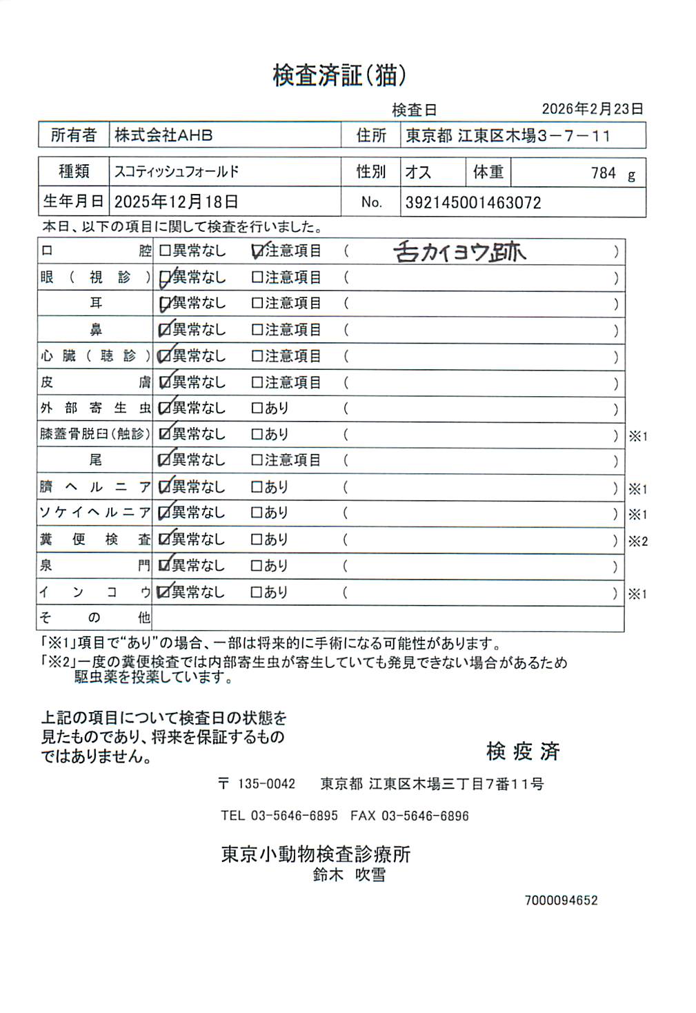 スコティッシュフォールド
