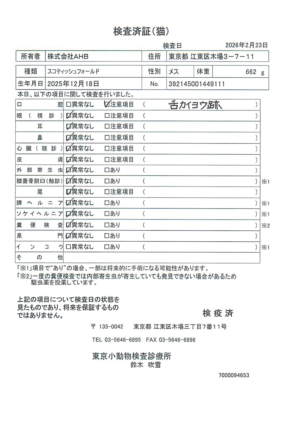 スコティッシュフォールド