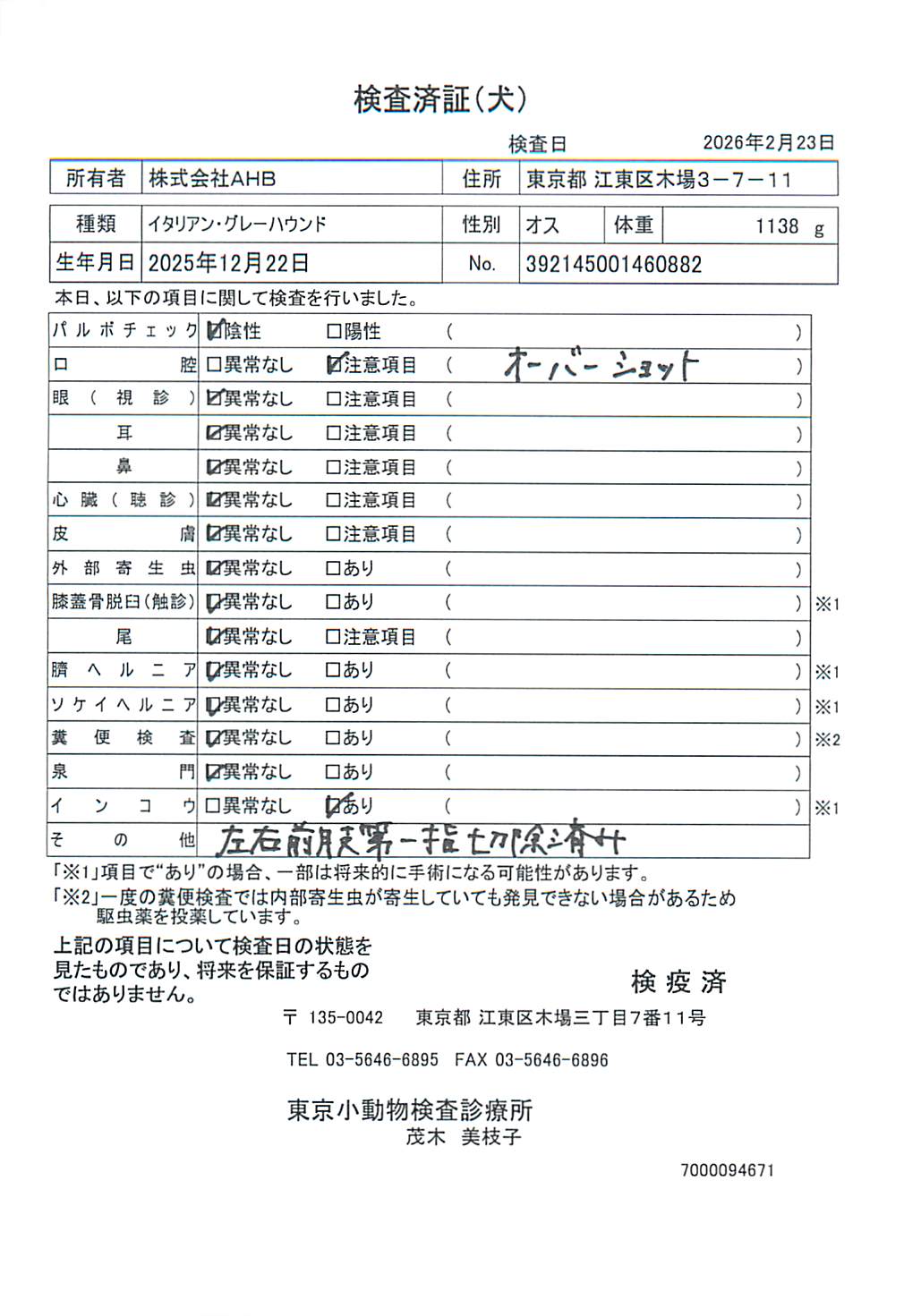 イタリアン・グレーハウンド