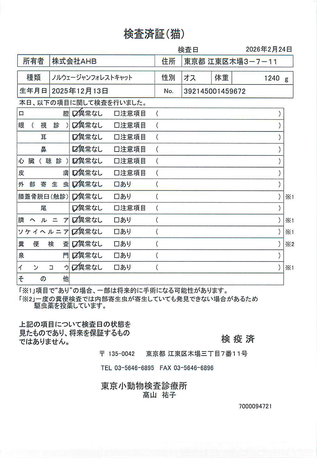 ノルウェージャンフォレストキャット