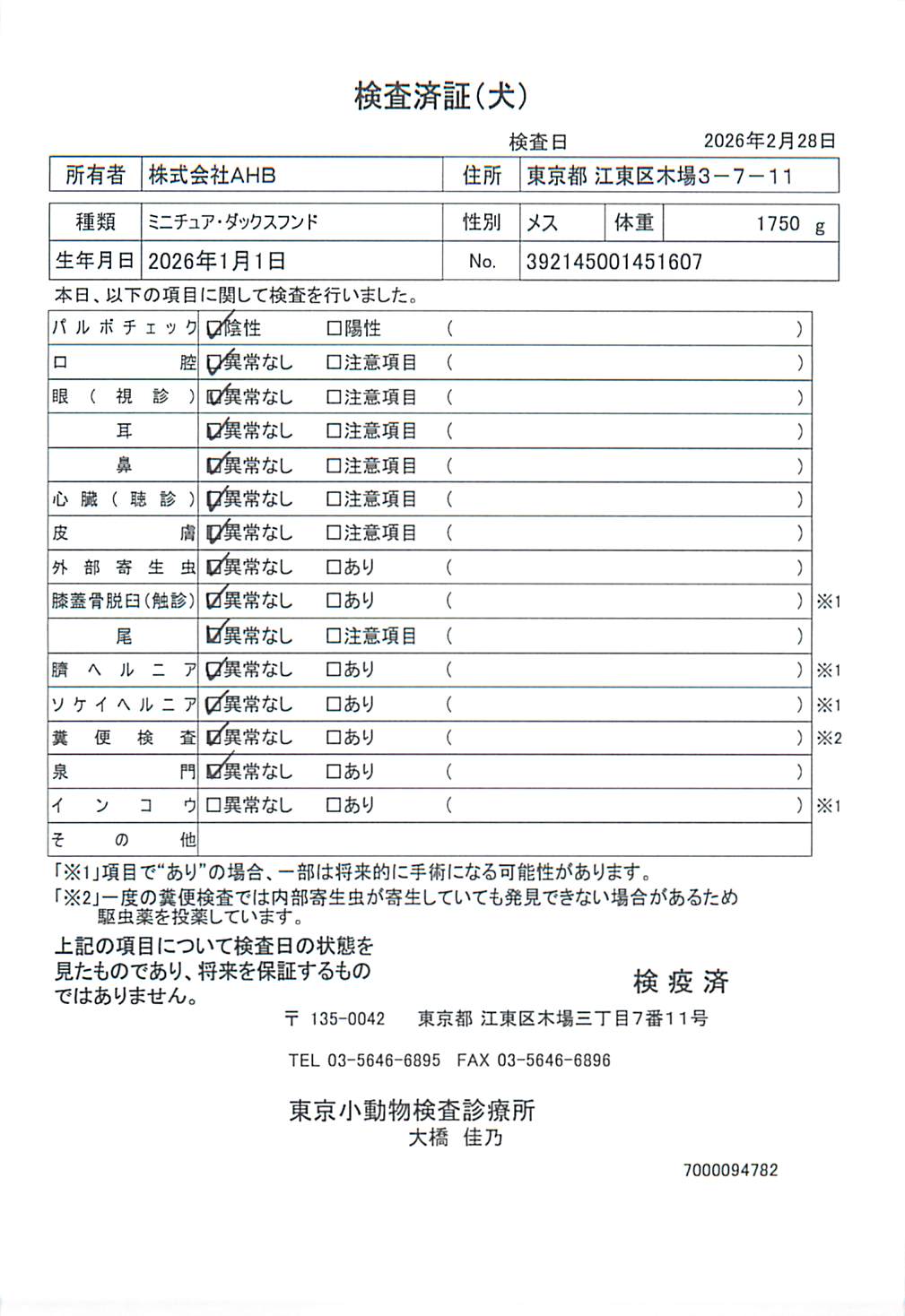 ミニチュア・ダックスフンド