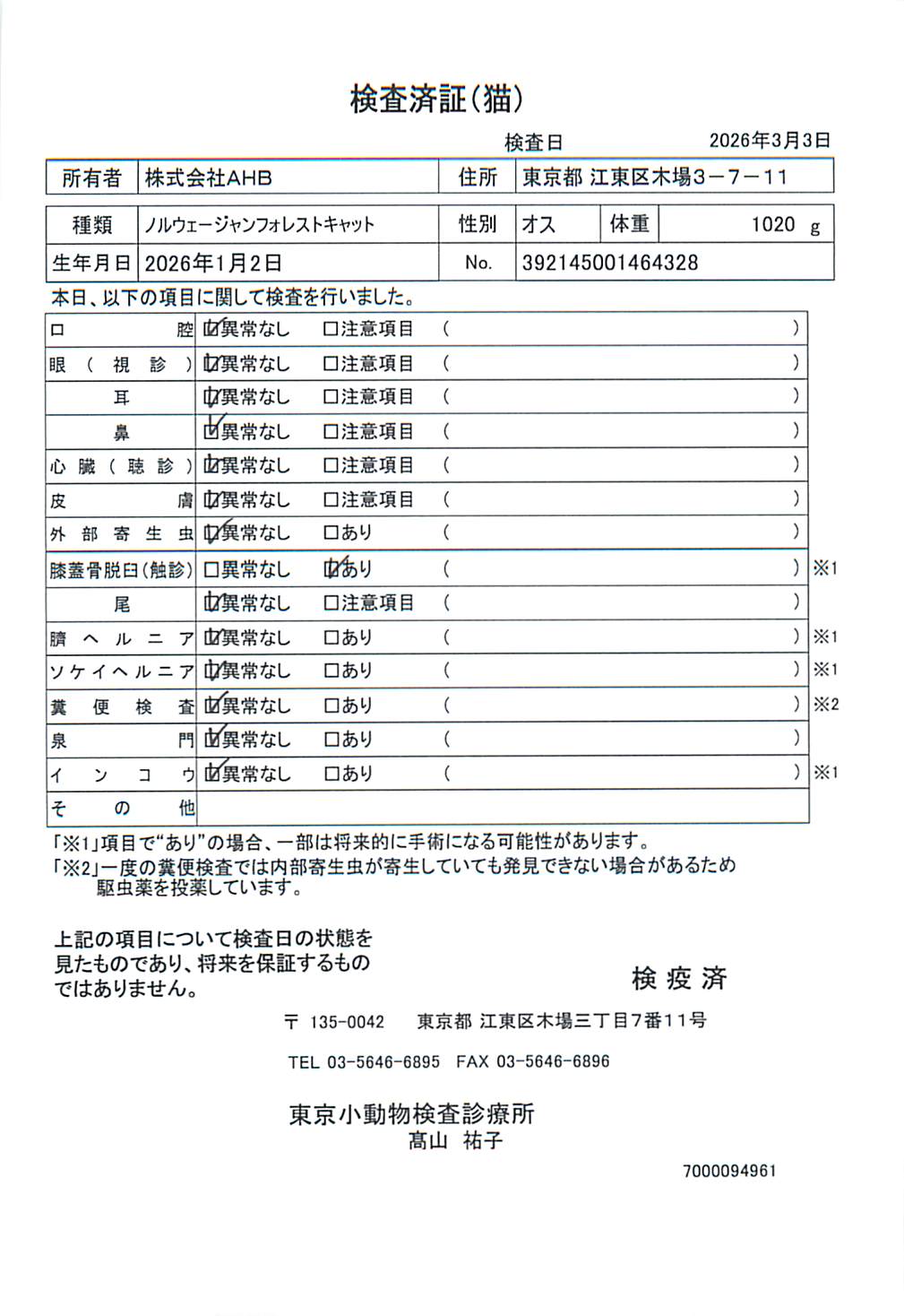 ノルウェージャンフォレストキャット