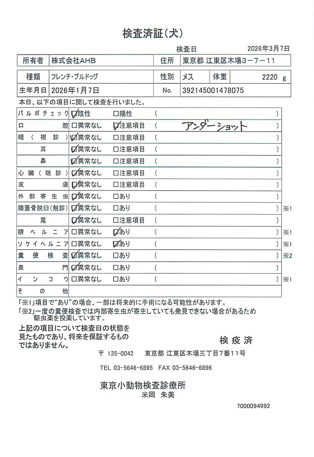 フレンチ・ブルドッグ
