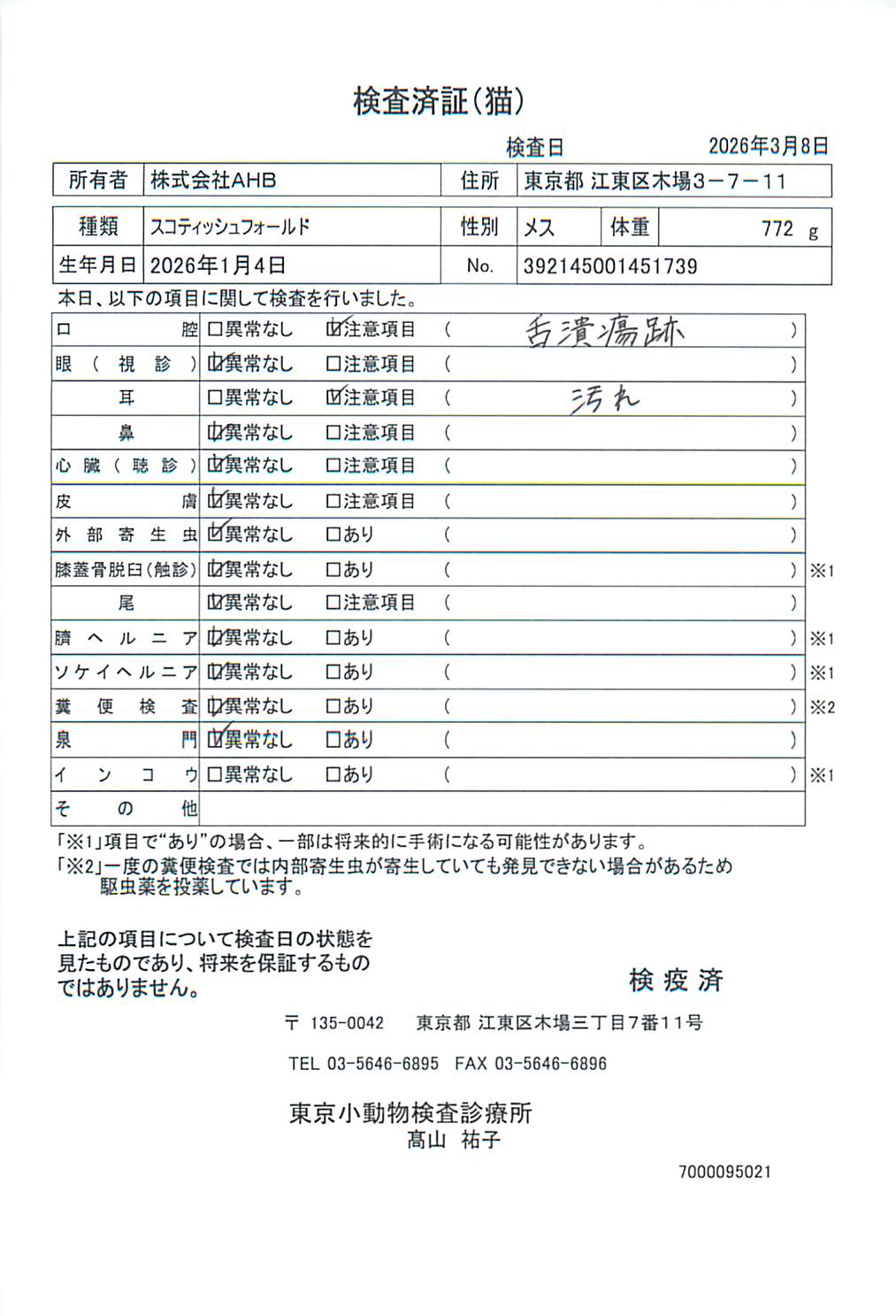 スコティッシュフォールド