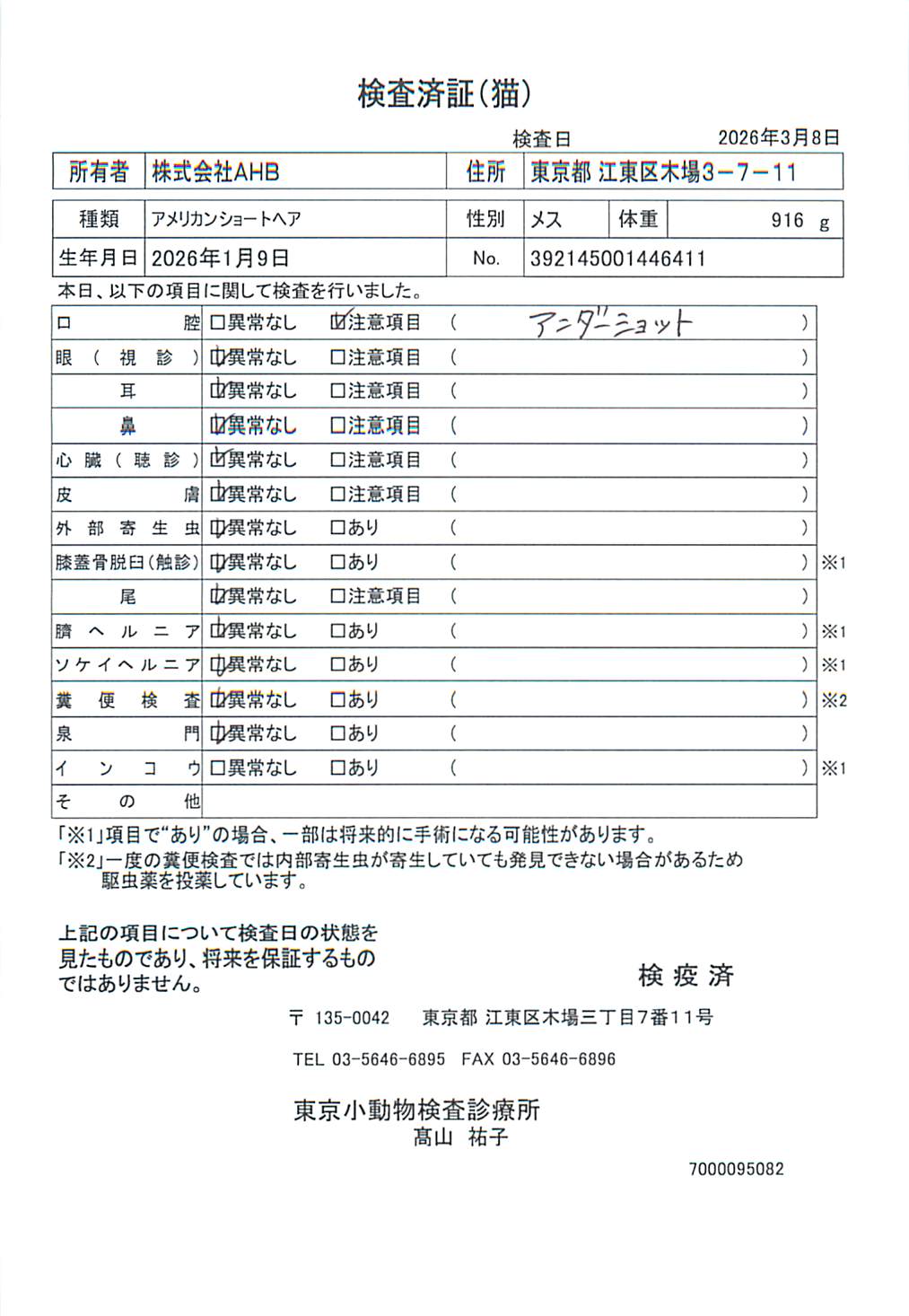 アメリカンショートヘア