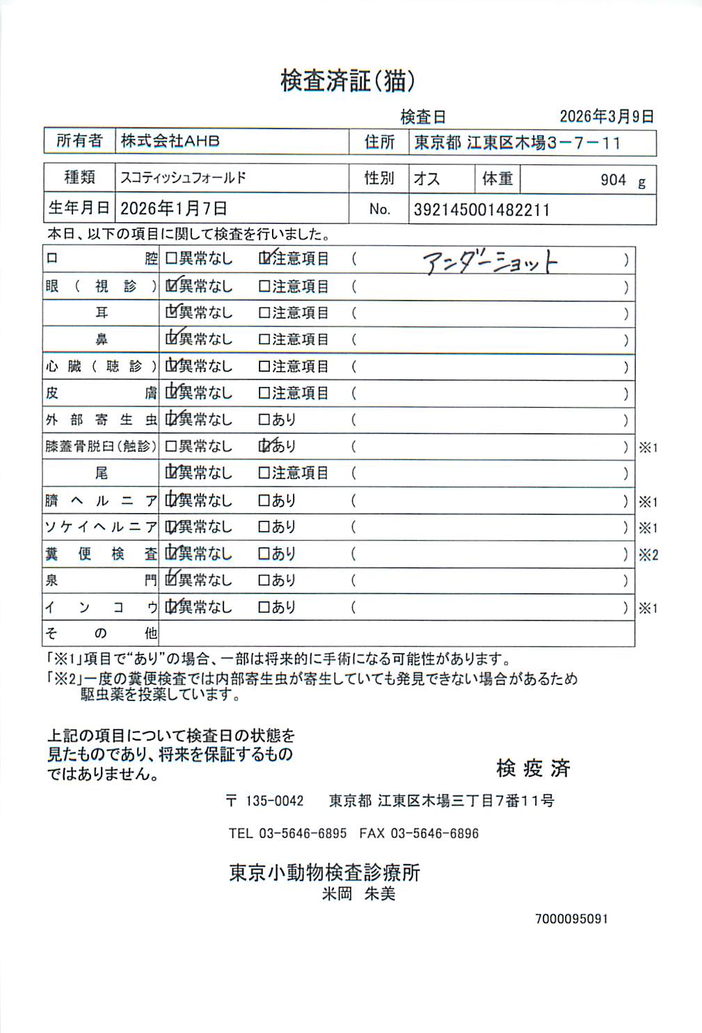 スコティッシュフォールド