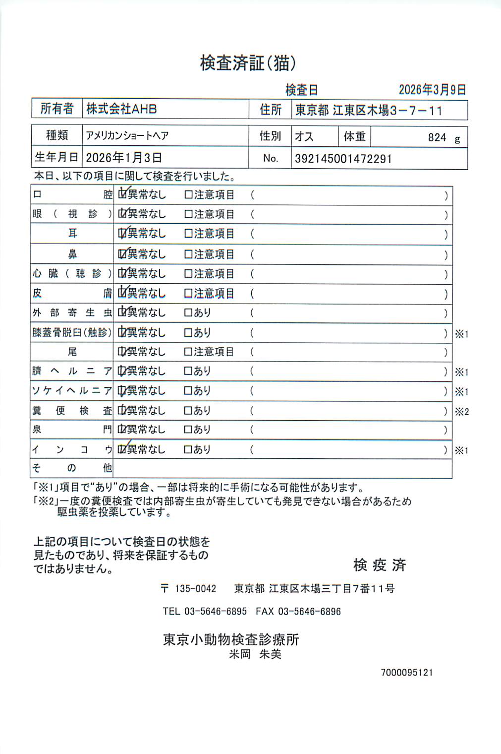 アメリカンショートヘア