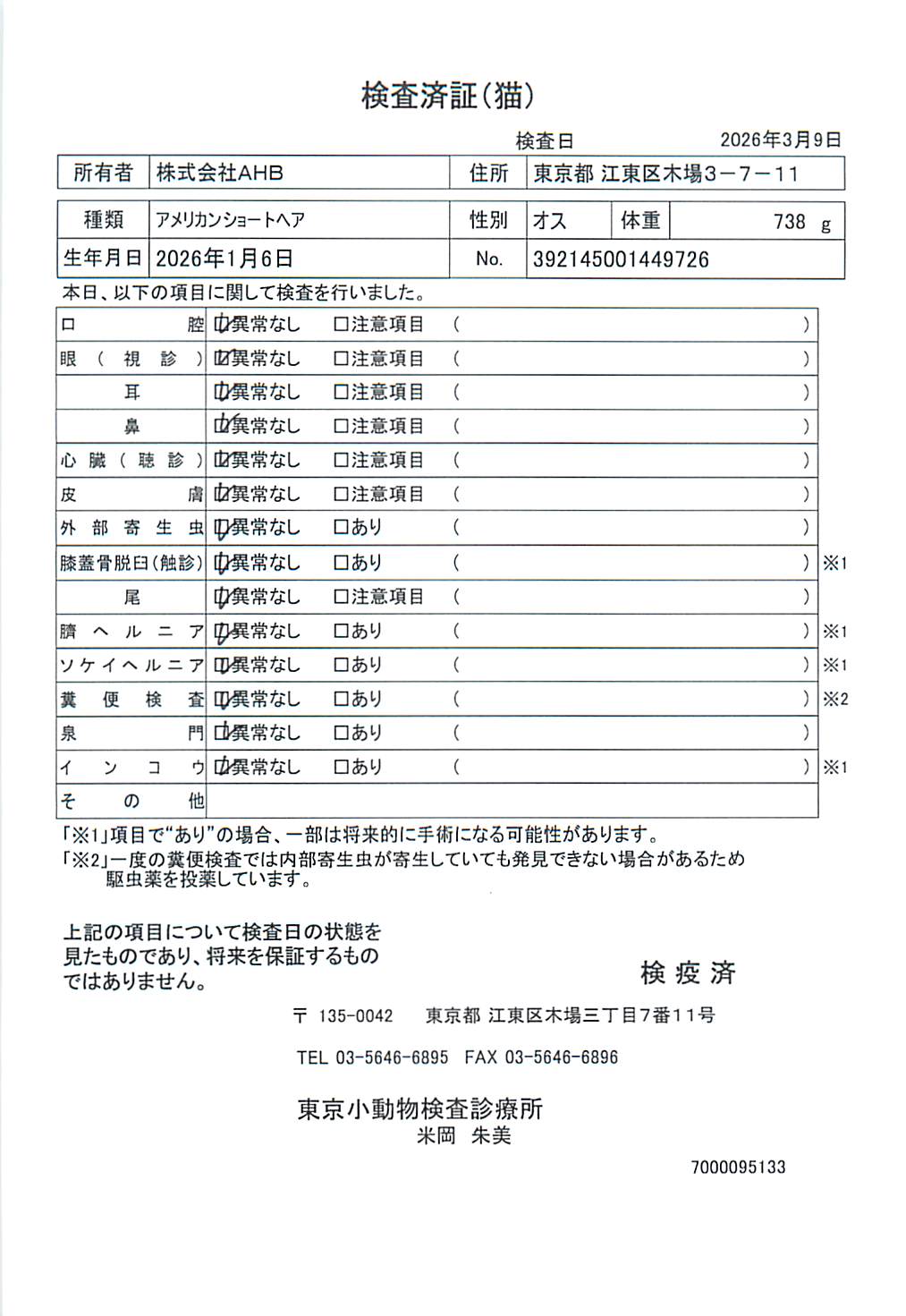 アメリカンショートヘア