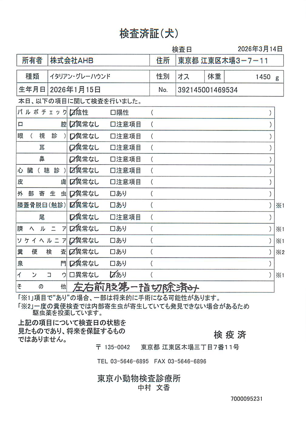 イタリアン・グレーハウンド