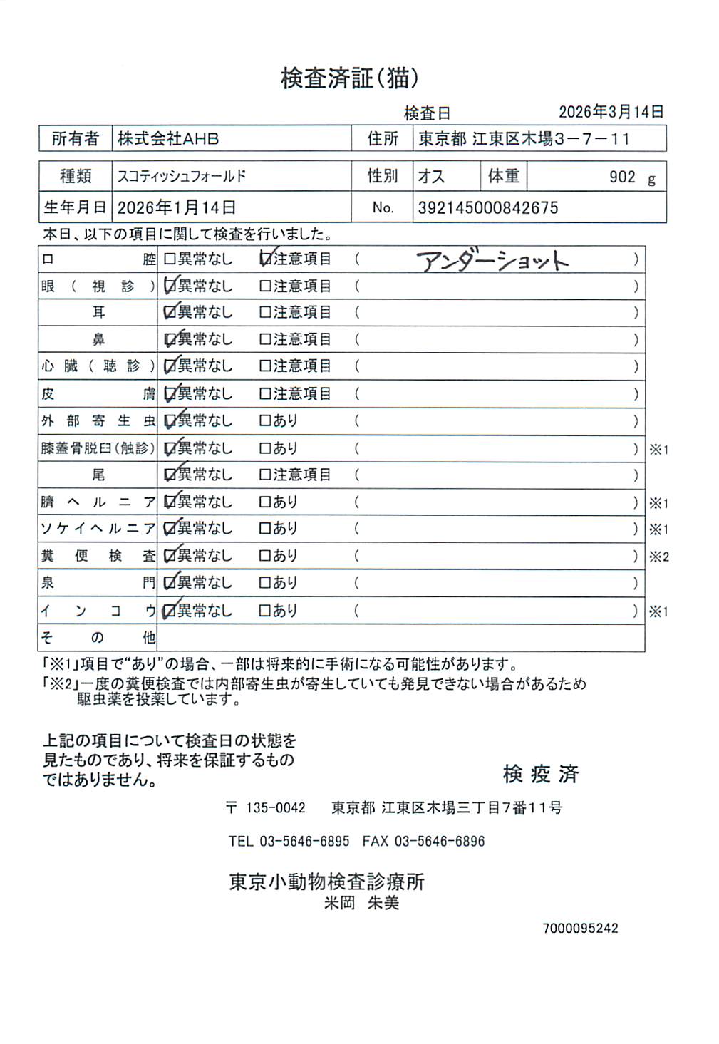 スコティッシュフォールド