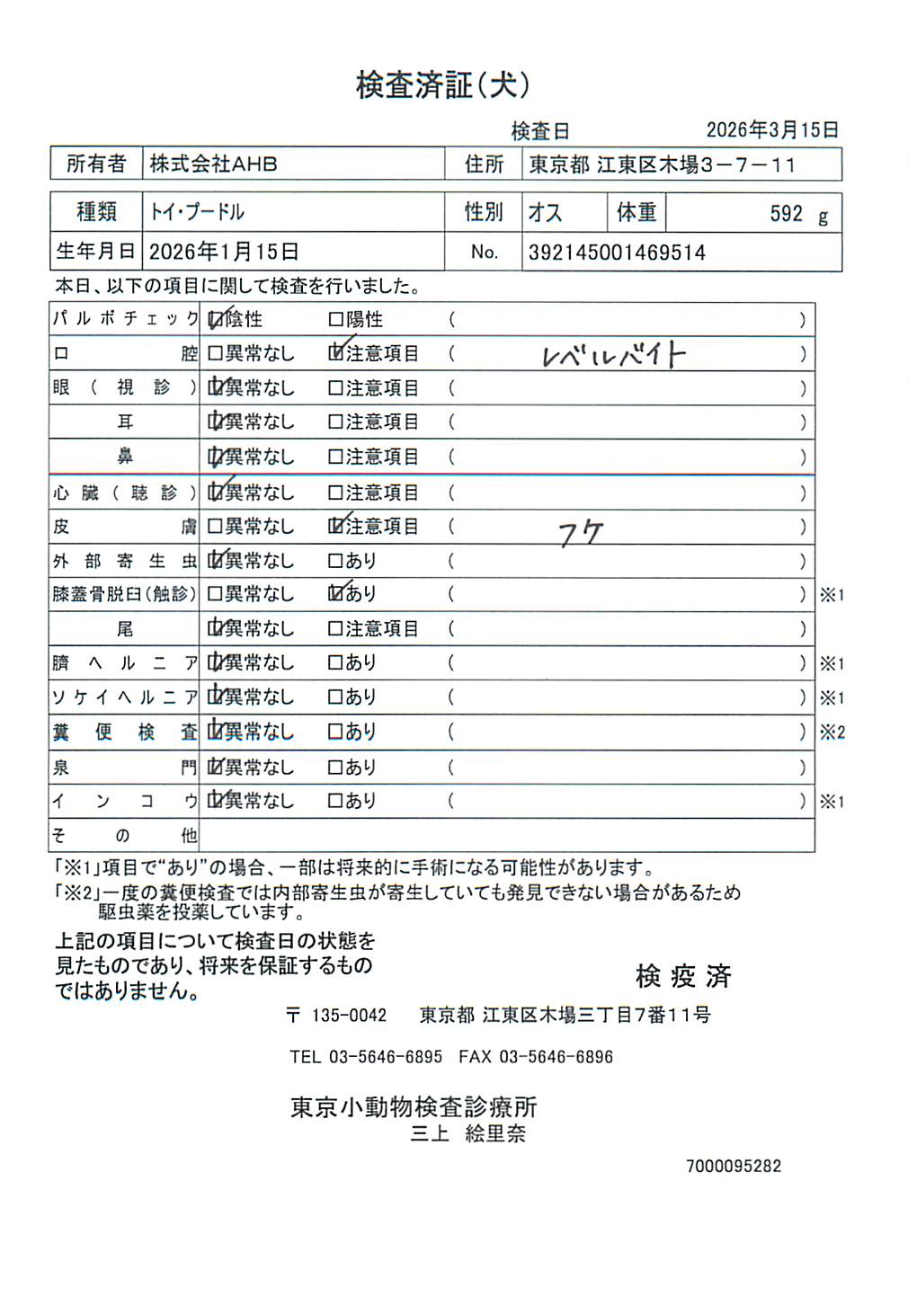 トイ・プードル