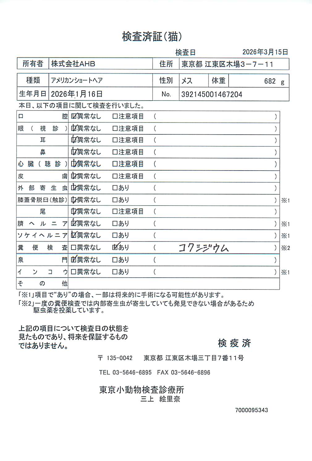 アメリカンショートヘア