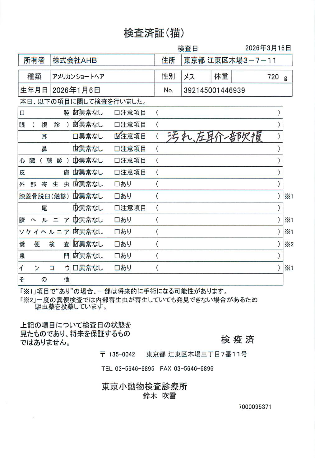 アメリカンショートヘア