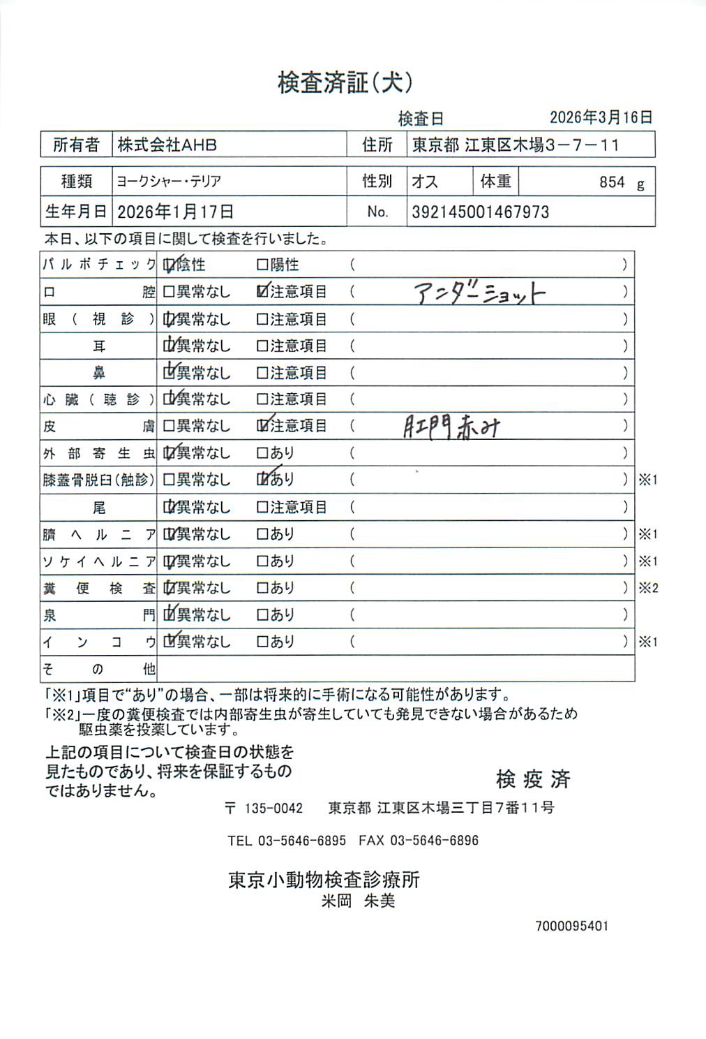 ヨークシャー・テリア