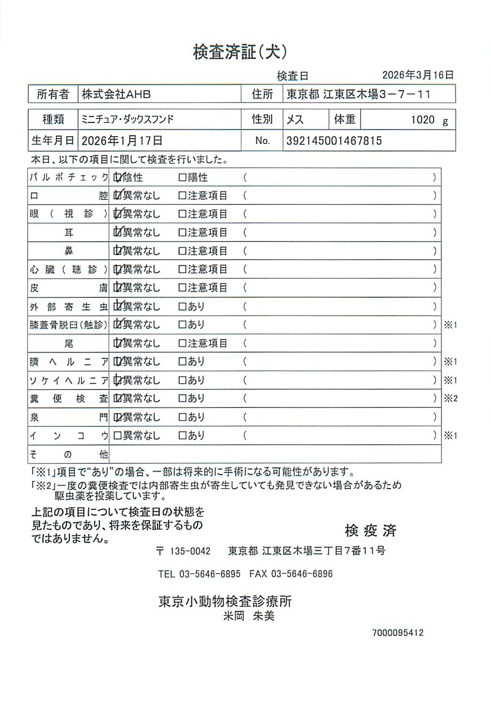 ミニチュア・ダックスフンド